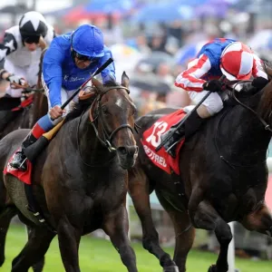Yorkshire Ebor Festival - The Betfred Ebor Yorkshire Ebor Festival - The Betfred Ebor
