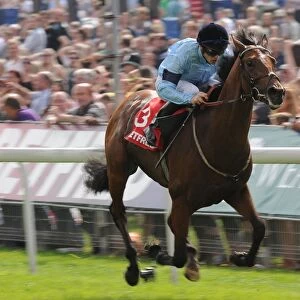 Yorkshire Ebor Festival - The Betfred Melrose Stakes