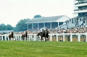 Images Dated 13th June 2011: 1973 Queen Anne Stakes