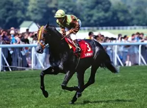 Images Dated 8th November 2011: 1992 Champion Jockey Michael Roberts on Terimon