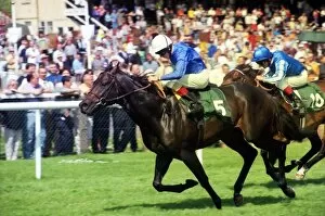 Images Dated 15th October 2009: 1998 Juddmonte Lockinge Stakes