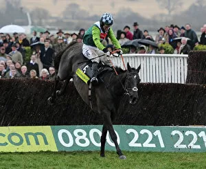 Images Dated 19th March 2010: AP McCoy on Denman jumps the final fence of the 2010 Gold Cup