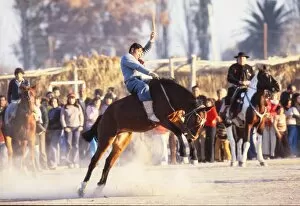 Images Dated 1st June 1978: Argentinian rodeo - 1978 World Cup