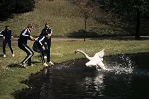 Bayern Munich players are attacked by an angry Swan before the 1967 Cup Winners Cup semi-final +