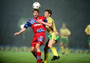 Bayern Munichs Thomas Helmer and Norwichs Chris Sutton