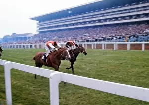 Images Dated 13th June 2011: Full of Beans wins the 1973 Ascot Stakes
