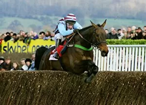 Images Dated 26th July 2011: Best Mate wins the 2003 Cheltenham Gold Cup