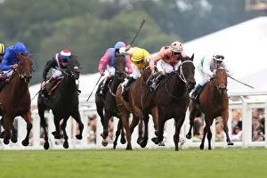 Images Dated 23rd June 2012: Black Caviar leads the Diamond Jubilee Stakes at Royal Ascot