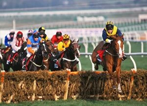 Images Dated 2015 August: Cheltenham Festival - The Champion Hurdle