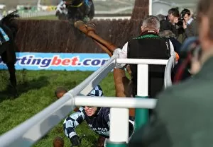 Images Dated 14th March 2012: Cheltenham Festival: Day Two