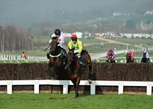 Images Dated 14th March 2012: Cheltenham Festival: Day Two