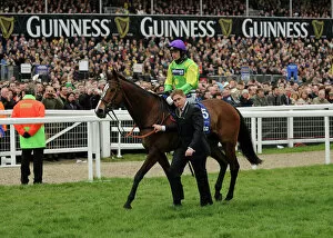 Images Dated 16th March 2012: Cheltenham Festival: Day Four
