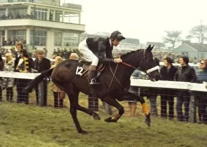 Images Dated 9th January 2012: David Mould on Blue Shore at the 1974 Cheltenham Festival
