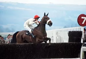 Images Dated 9th January 2012: David Mould on Even Sail at the 1974 Cheltenham Festival