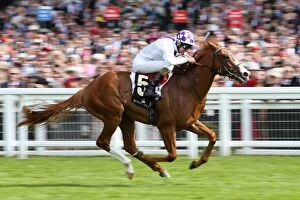 Images Dated 19th June 2012: Dawn Approach ridden by K. J. Manning wins the Coventry Stakes