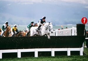 Images Dated 26th July 2011: Desert Orchid on the way to winning the 1989 Cheltenham Gold Cup