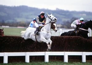 Images Dated 26th July 2011: Desert Orchid on the way to winning the Queen Mother Champions Chase in 1988
