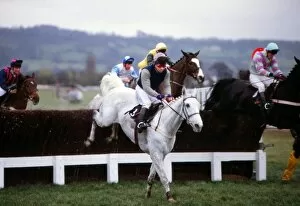 Horse Racing Collection: Desert Orchid on the way to winning the Queen Mother Champions Chase in 1988