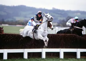 Desert Orchid on the way to winning the Queen Mother Champions Chase in 1988