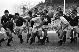 Calcutta Cup Collection: England and Scotland forwards battle for the ball - 1983 Five Nations