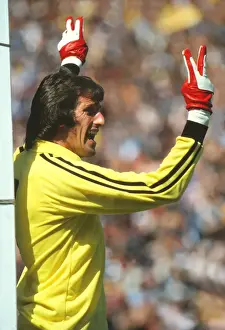 Englands Ray Clemence - 1980 British Home Championship