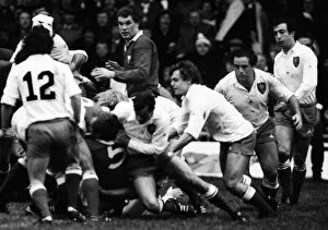 Images Dated 2nd November 2011: France takes on Wales - 1980 Five Nations