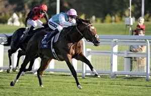Images Dated 15th October 2011: Frankel - 2011 Queen Elizabeth II Stakes