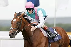 Images Dated 27th July 2011: Frankel - 2011 Sussex Stakes