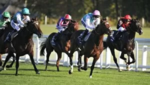 Images Dated 15th October 2011: Frankel & Bullet Train - 2011 Queen Elizabeth II Stakes