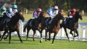 Frankel & Bullet Train - 2011 Queen Elizabeth II Stakes