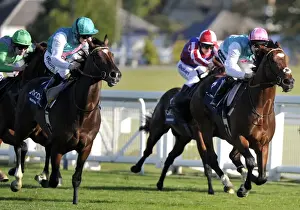 Frankel & Bullet Train - 2011 Queen Elizabeth II Stakes