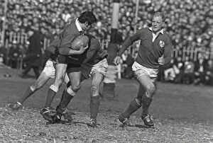 Images Dated 6th February 2009: Gareth Edwards under pressure from Michael Hipwell and Ken Kennedy - 1969 Five Nations