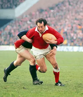 Gareth Edwards takes on Scotland - 1977 Five Nations (portrait)