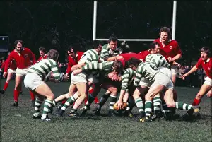 Gosforth face London Welsh in the 1977 John Player Cup semi-final