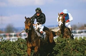 Images Dated 5th April 2011: Hallo Dandy, ridden by Neale Doughty, on the way to winning the 1984 Grand National
