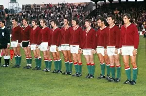 Euro 1972 Collection: The Hungary team lines-up at Euro 72