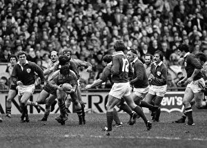 : Ireland 12 Australia 16