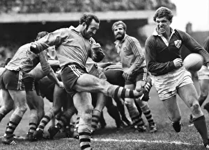 : Ireland 12 Australia 16
