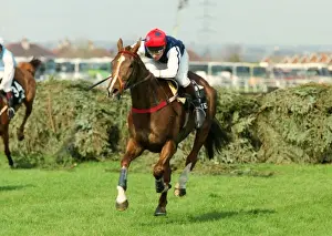 Jason Titley on Royal Athlete wins the 1995 Grand National