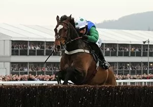 Images Dated 17th March 2010: Katie Walsh on the way to winning the 2010 National Hunt Chase Challenge Cup at Cheltenham