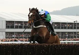 Horse Racing Prints: Katie Walsh on the way to winning the 2010 National Hunt Chase Challenge Cup at Cheltenham