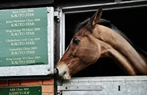 Horse Racing Collection: Kauto Star