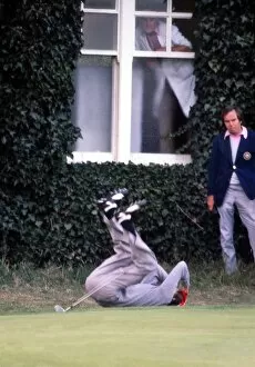 1977 Ryder Cup Collection: Ken Brown falls to the ground after his missed putt loses him a match at the 1977 Ryder Cup
