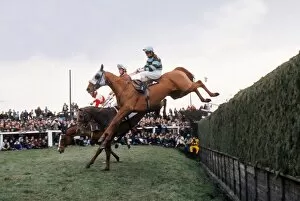 Images Dated 26th July 2011: L Escargot jumps Bechers Brook on the way to winning the 1975 Grand National