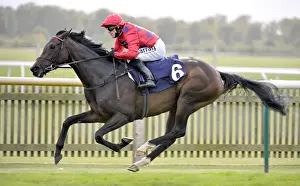Mohedian Lady ridden by Kieren Fallon wins the 2011 Princess Royal Richard Hambro Listed Stakes