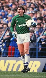 Images Dated 14th September 2011: Neville Southall
