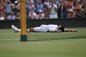 Images Dated 3rd July 2011: Novak Djokovic falls to the floor after winning the 2011 Wimbledon Mens Singles title