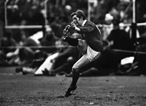 Images Dated 1980: Ollie Campbell - 1980 British Lions Tour of South Africa