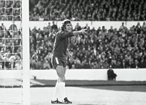 Images Dated 1st August 1973: Peter Bonetti - Chelsea