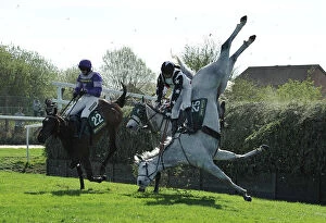 Horse Racing Collection: Pickamus, ridden by Will Kennedy falls at Aintree